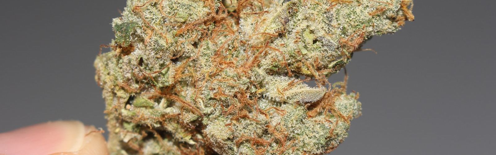 medical cannabis flower