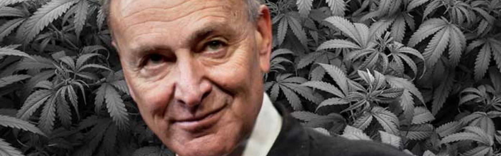chuck schumer