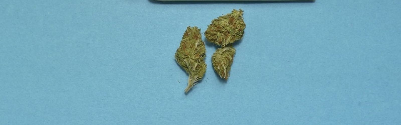 Joints cannabis flower