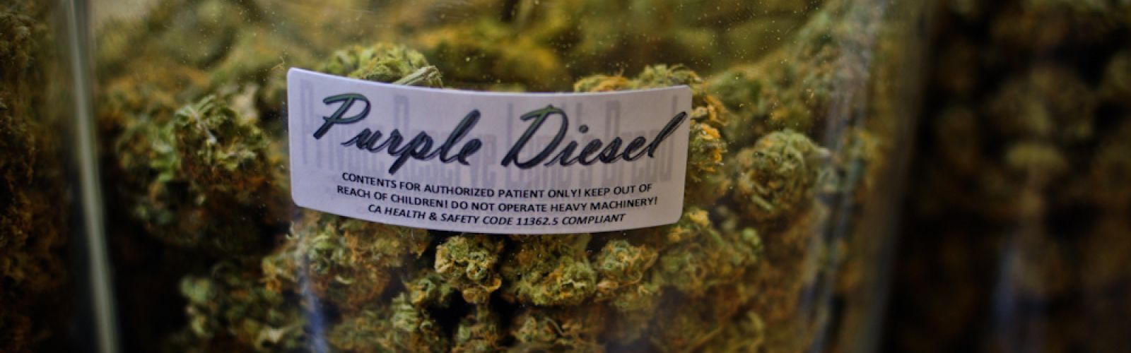 Purple Diesel