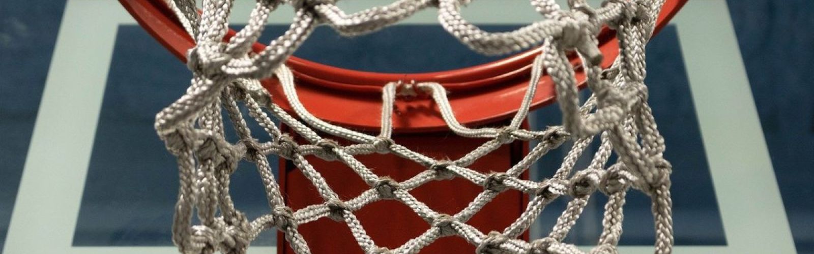 NBA Basketball Net