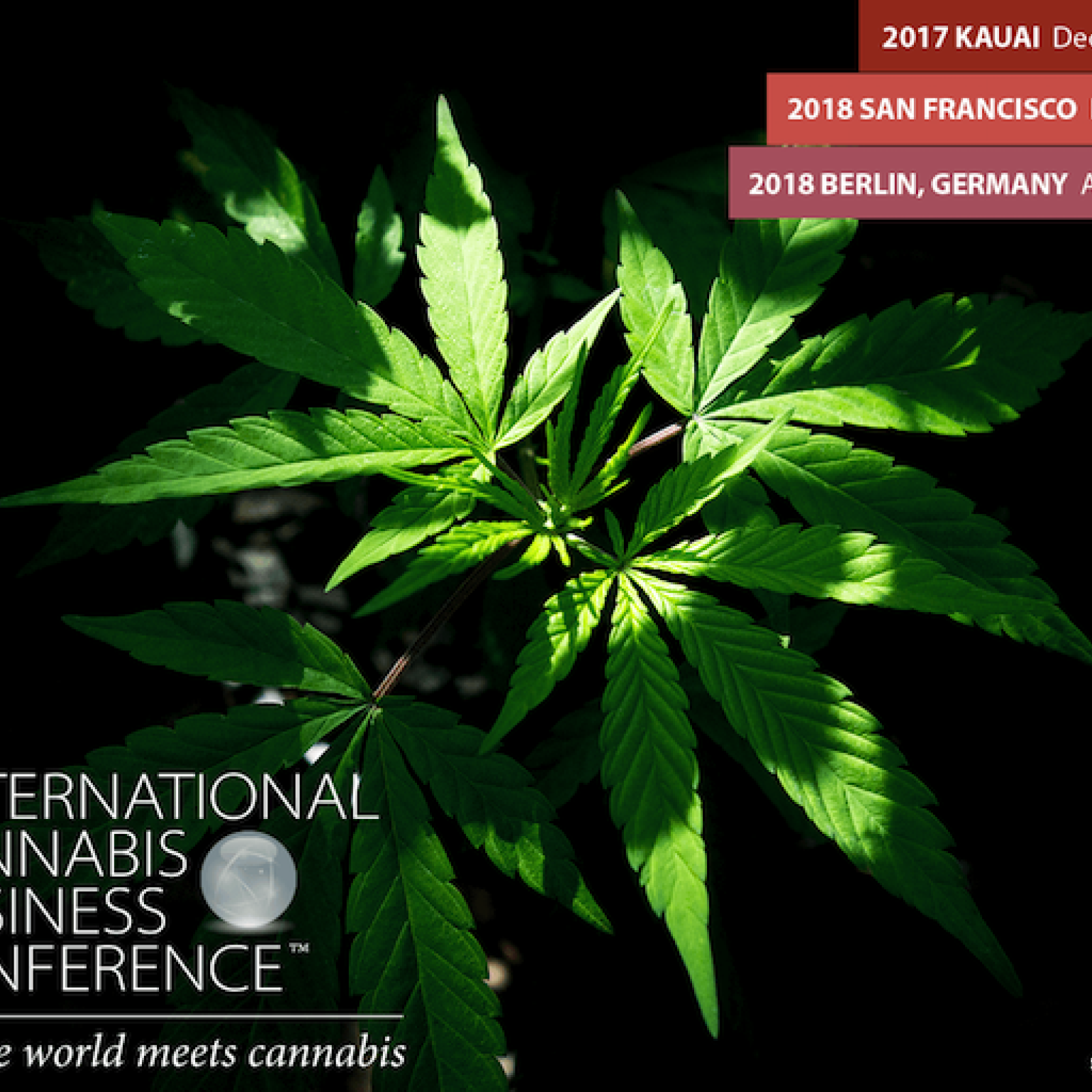 Cannabis Plant StockPot