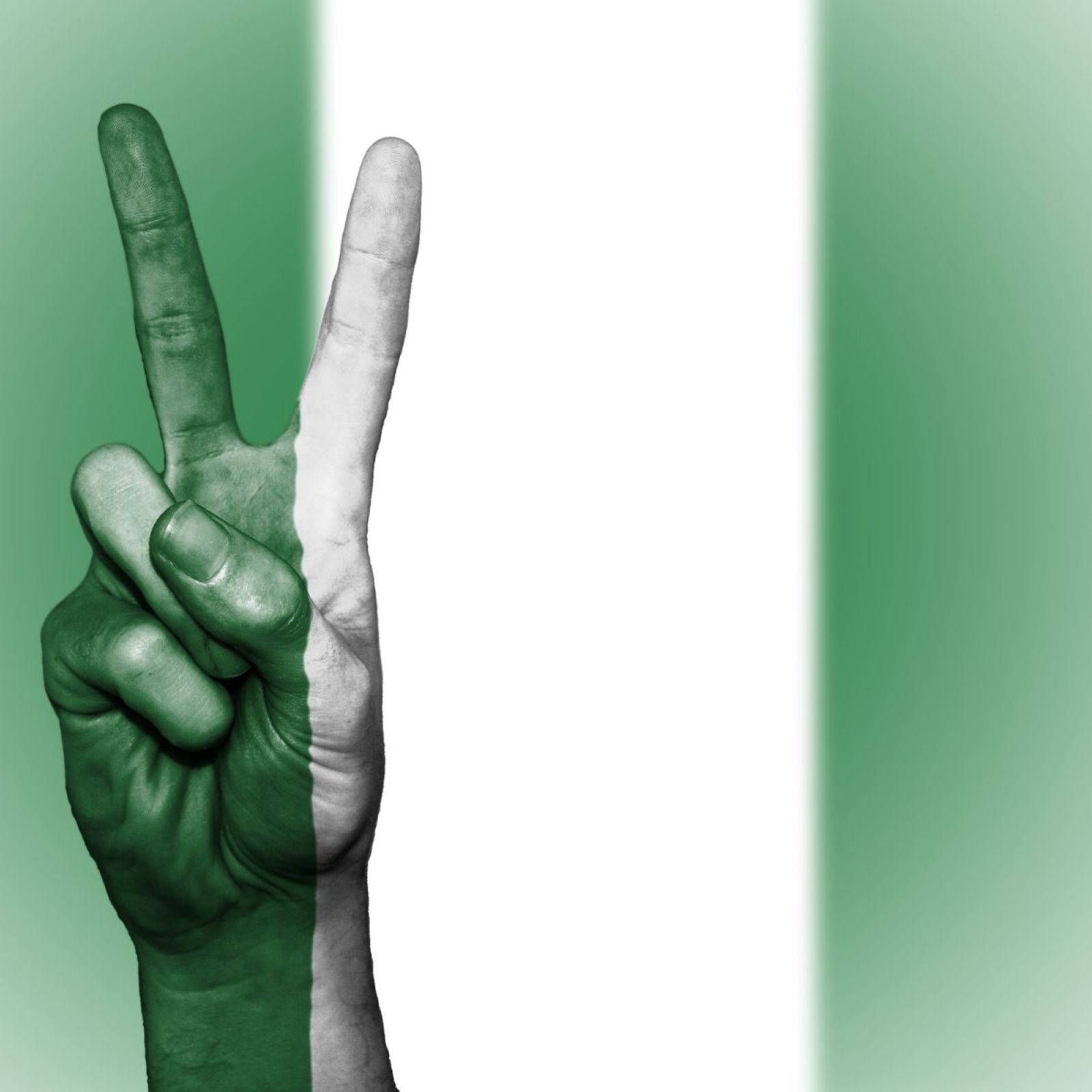 nigeria flag peace sign