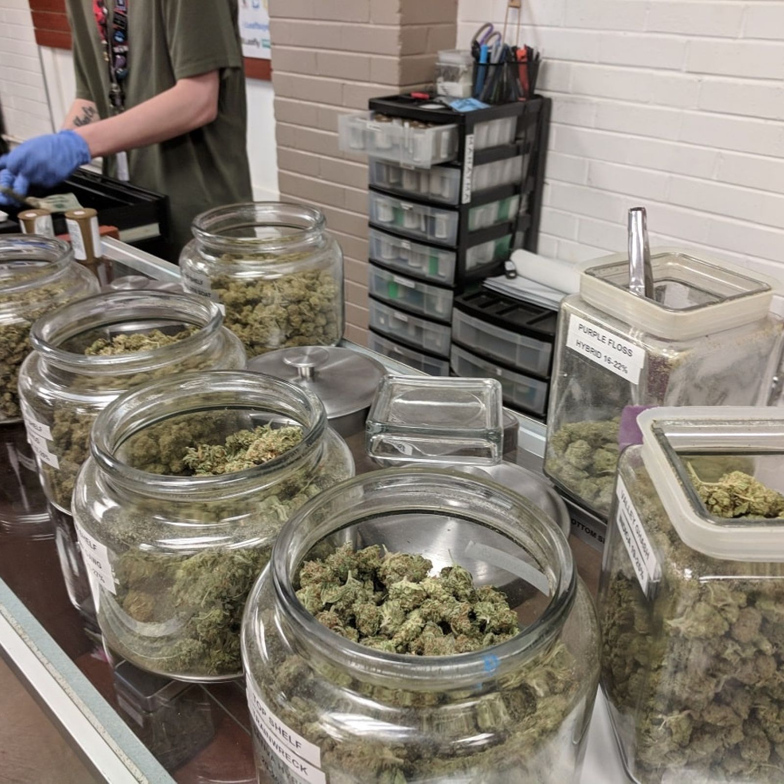 cannabis dispensary employee budtender