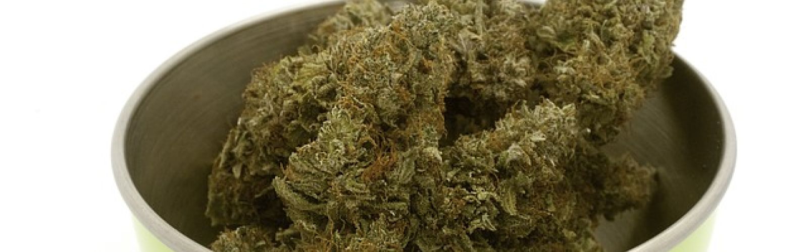Marijuana buds