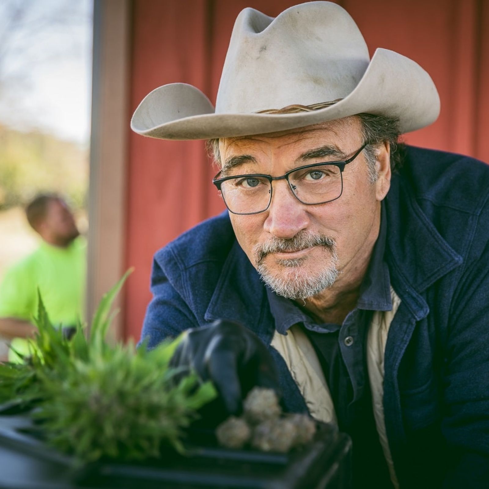 jim belushi belushi's farm cannabis