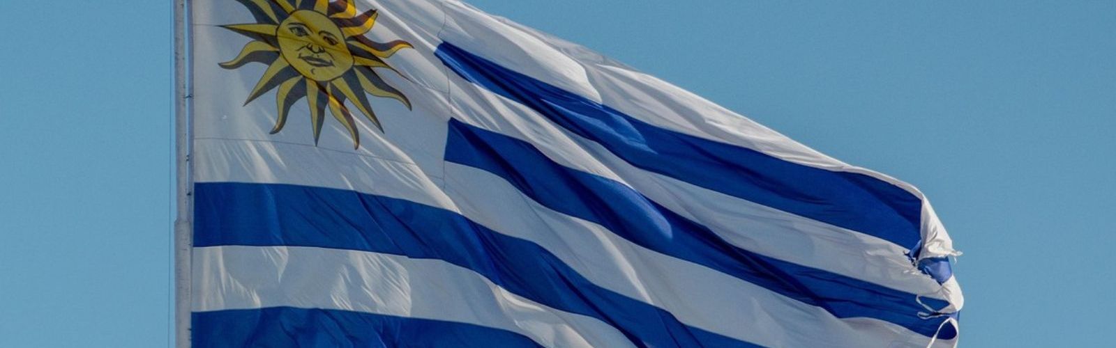 uruguay flag