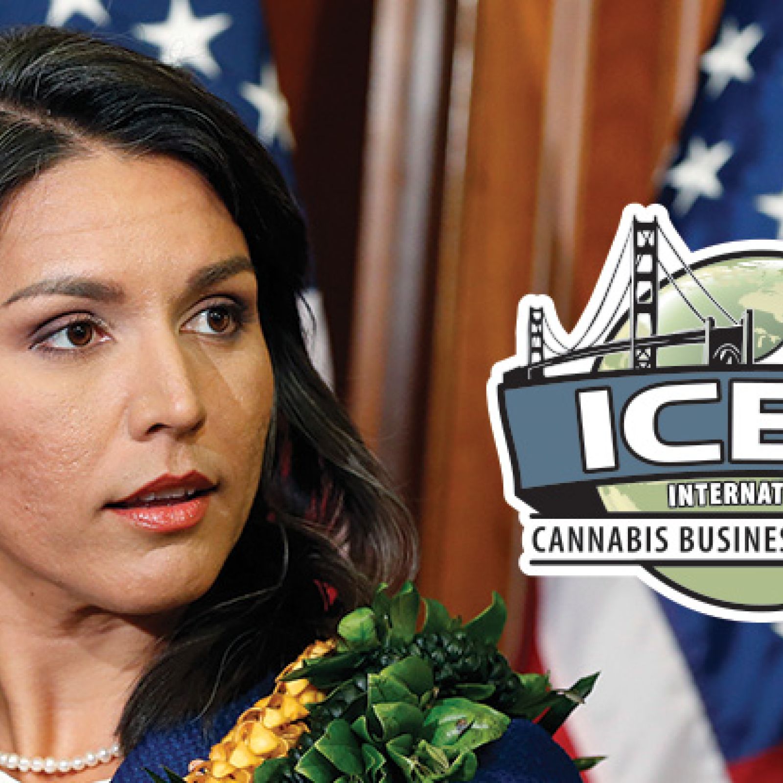 Representative Tulsi Gabbard