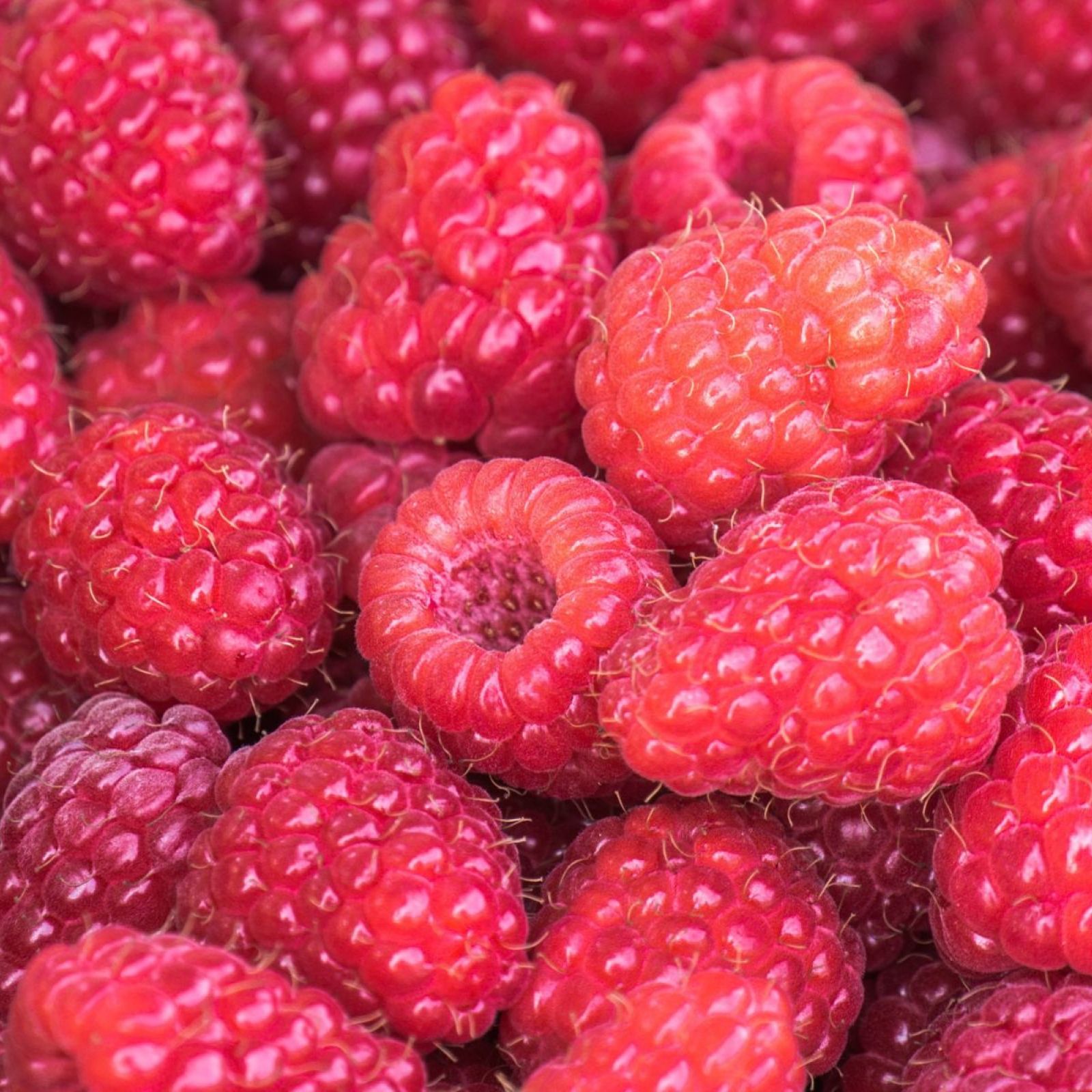 raspberries