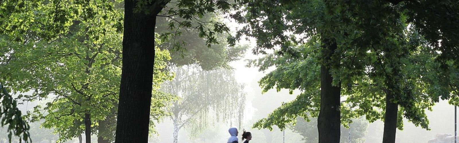 running jogging fitness exercise cardio