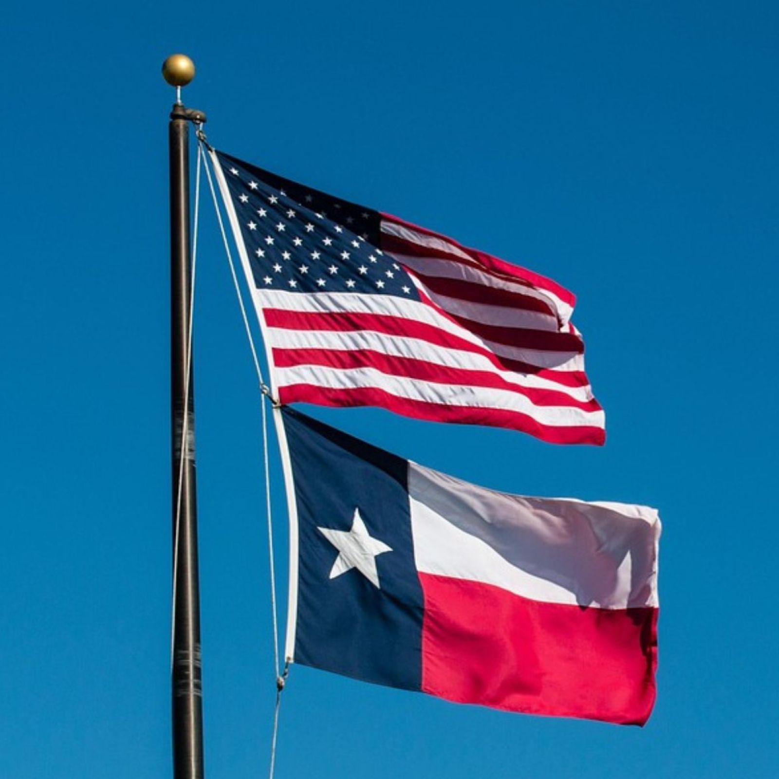united states texas flag flags