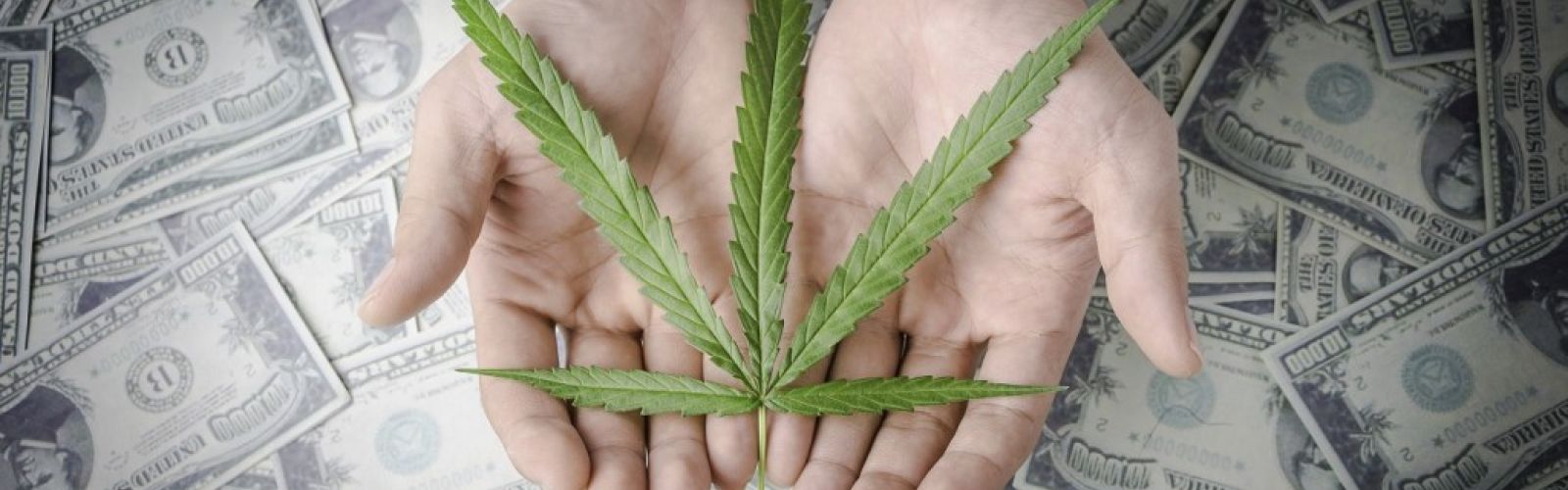 Cannabis money