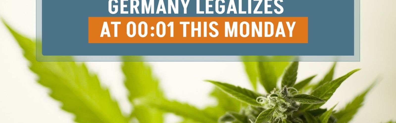 Germany Cannabis Legalization