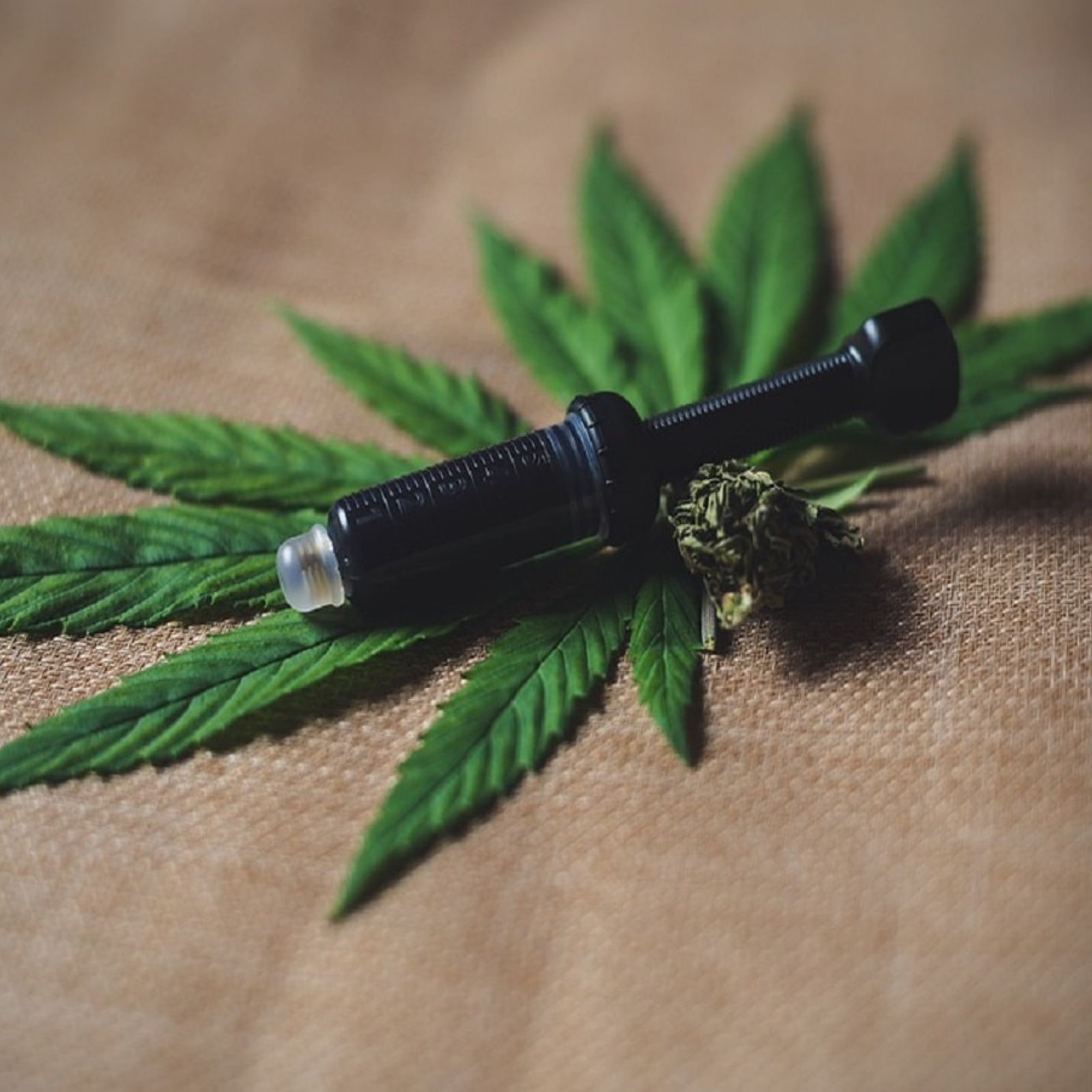 cannabis extracts rick simpson oil concentrates-min