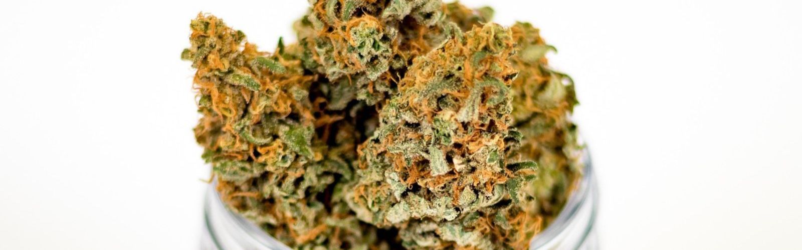 cannabis flower bud buds jar