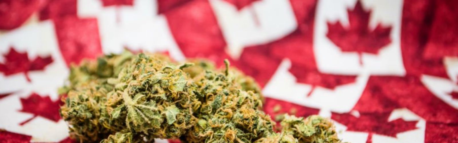 Canada Flag Cannabis