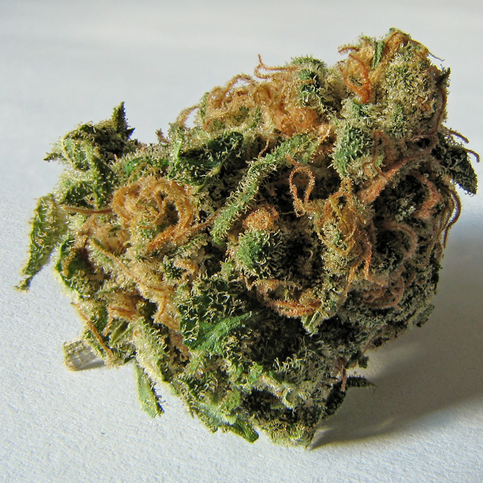 marijuana