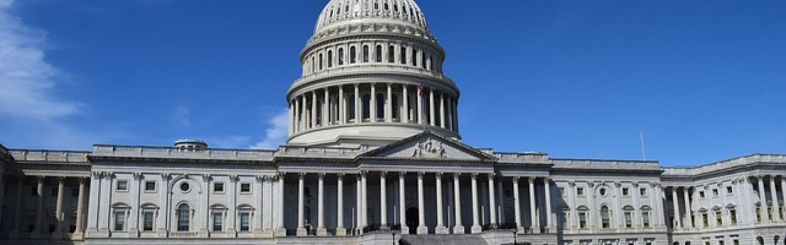 U.S. House of Representatives