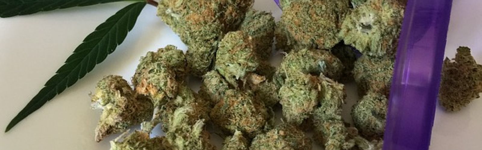 marijuana prescription