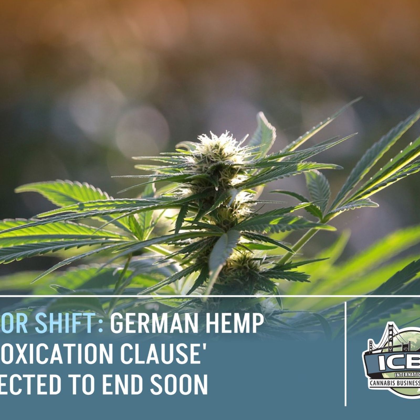 german hemp intoxication clause