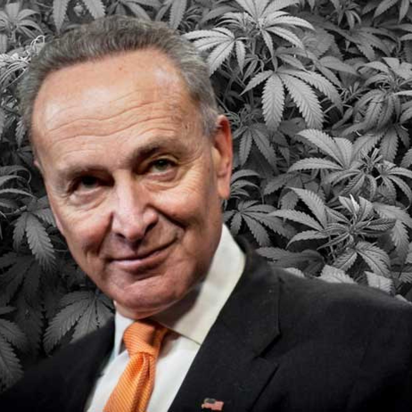 chuck schumer