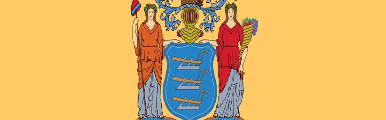 New Jersey state flag