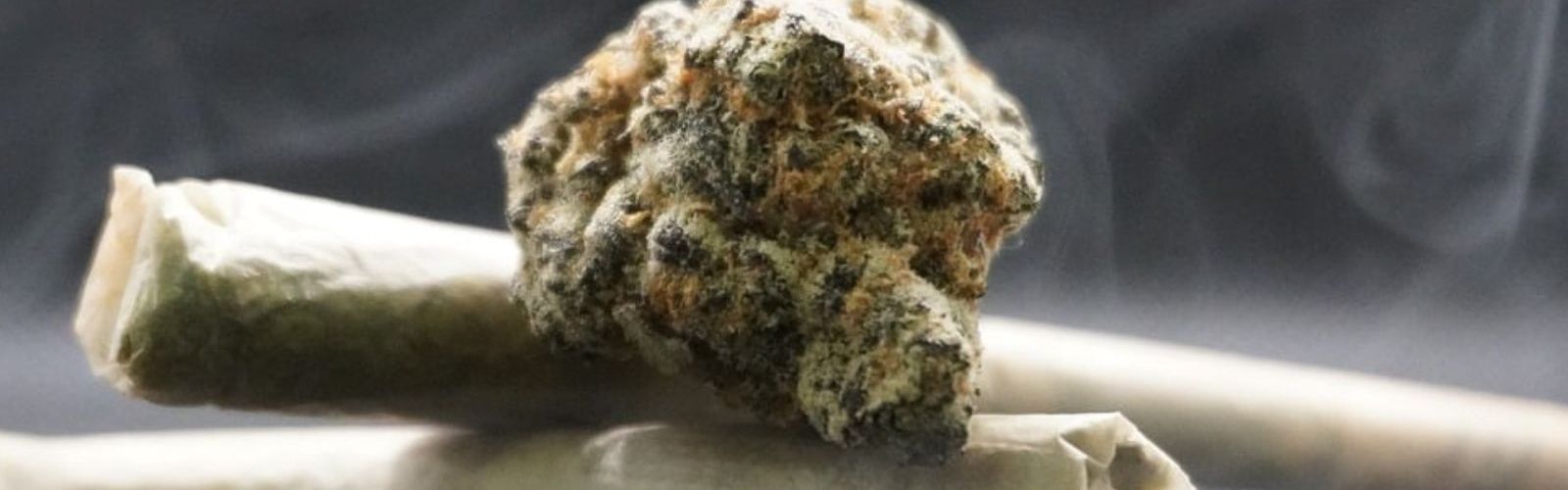 Cannabis flower bud prerolls joints