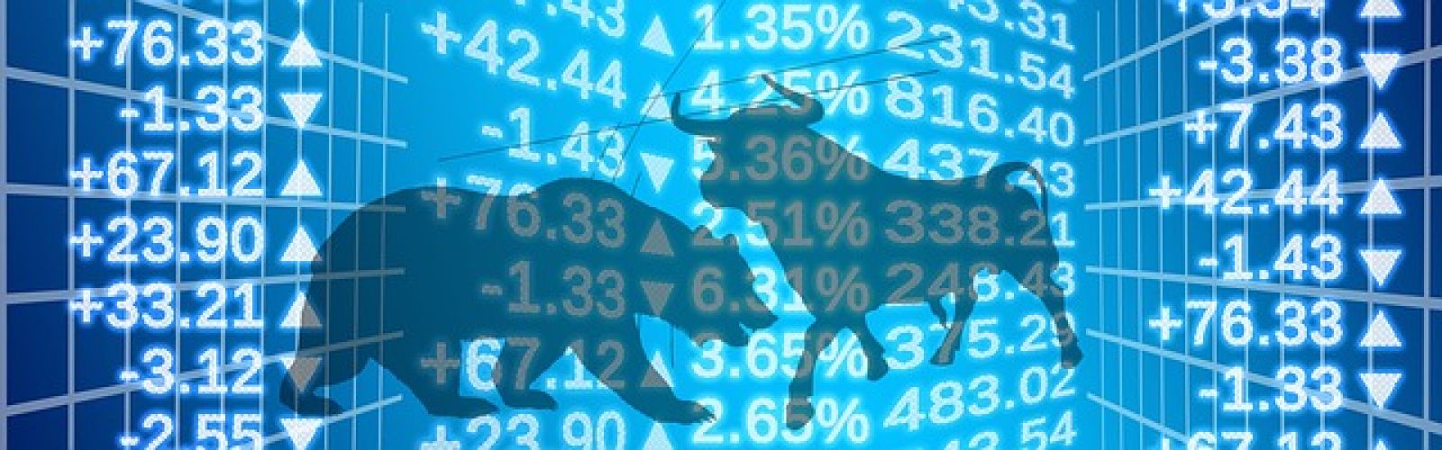 Stock Market