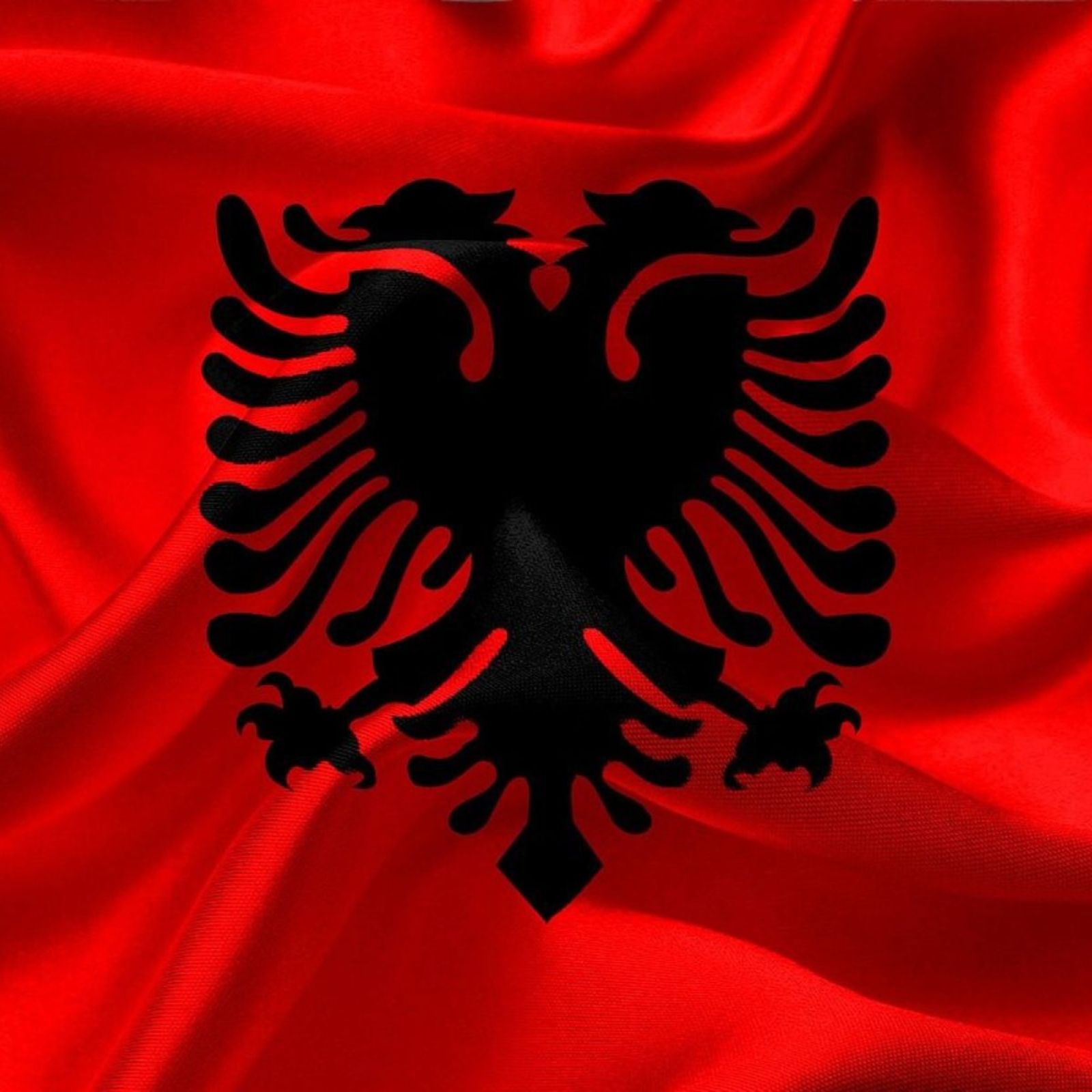 albania flag