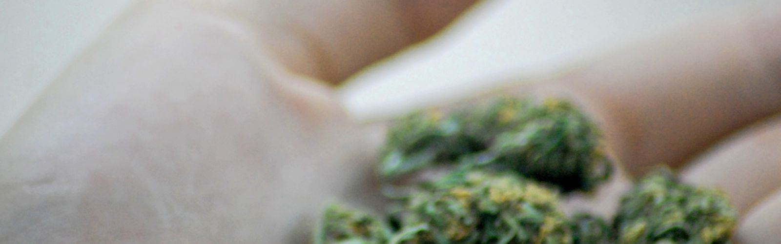 marijuana in hand