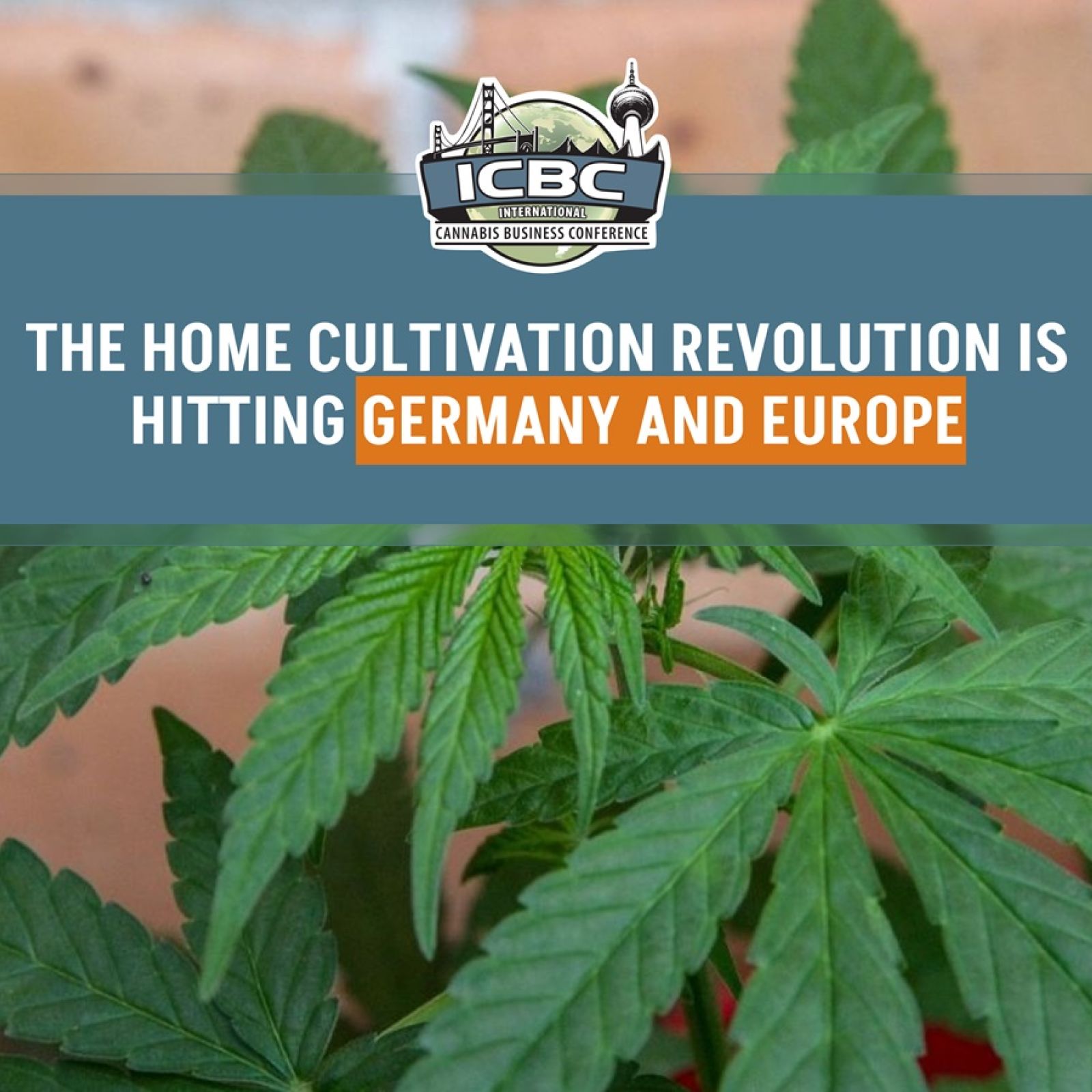 The home cultivation revolution is hitting Germany and Europe