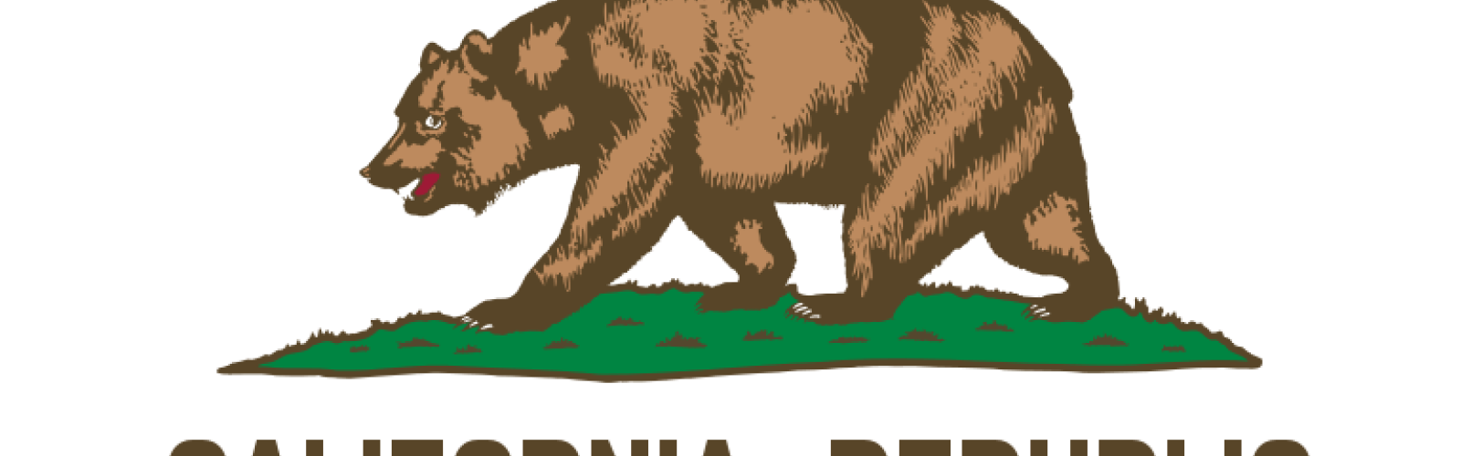 California flag