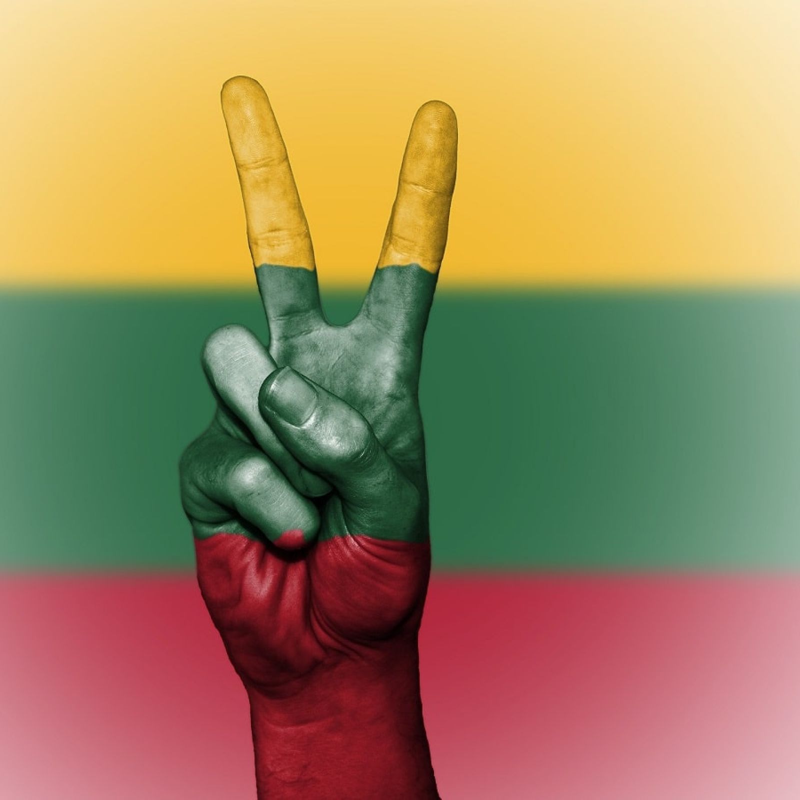 lithuania flag