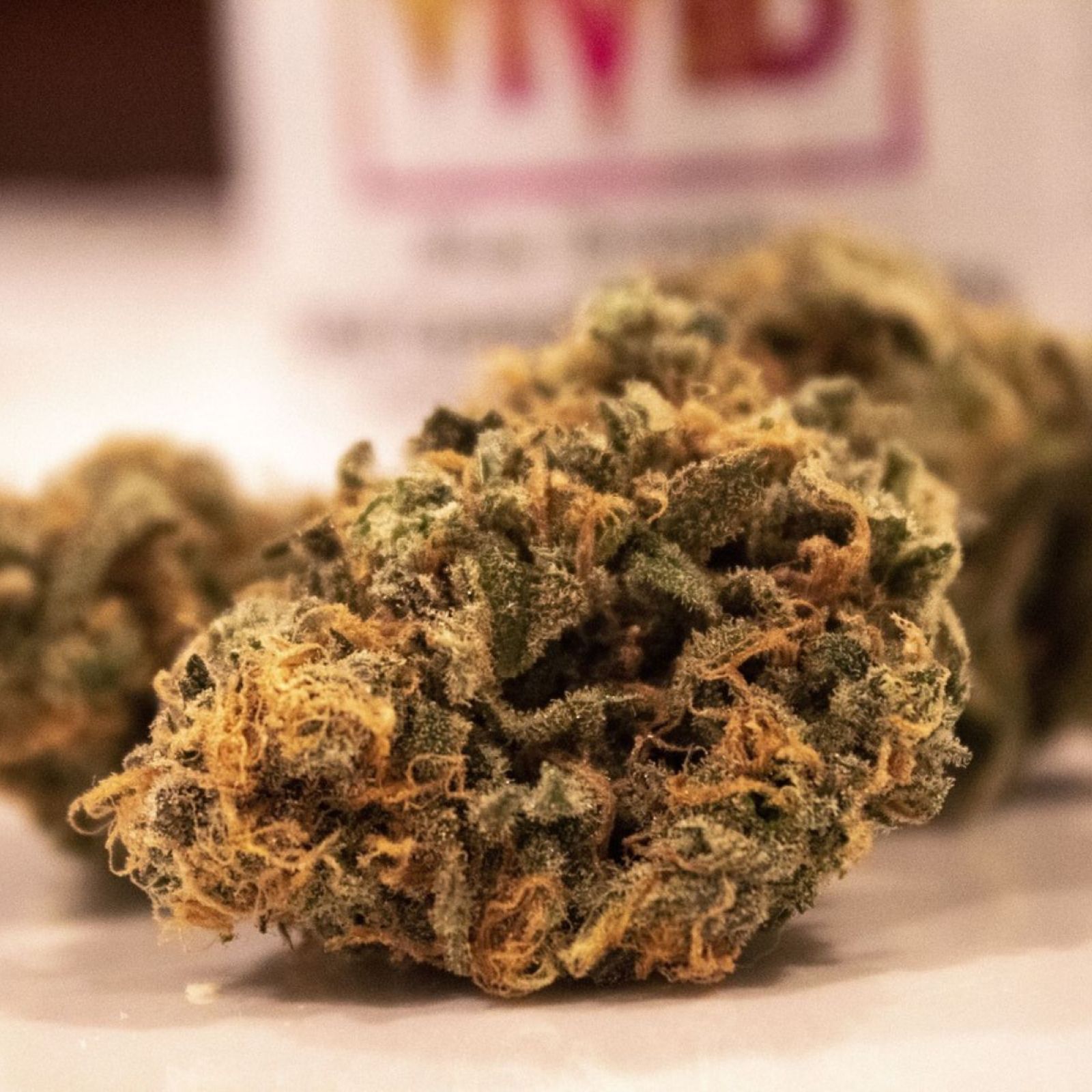 cannabis flower buds